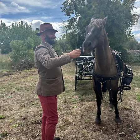 게스트하우스 Cuprum 알베르벨로