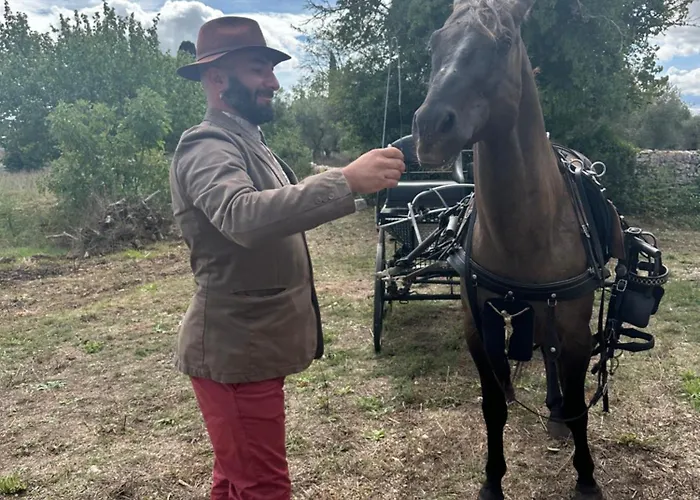 Guest house Cuprum Alberobello